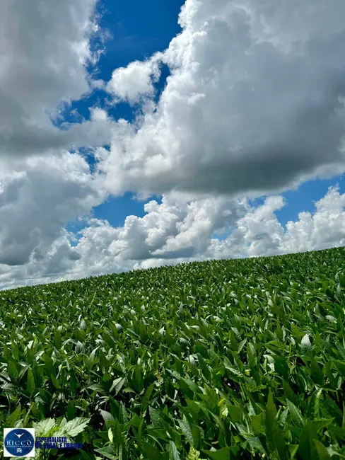 Chácara com 3 quartos à venda, 13m2 em Anapolis - GO - imagem 5 Foto 5 de Chácara com 3 quartos à venda, 13m2 em Anapolis - GO