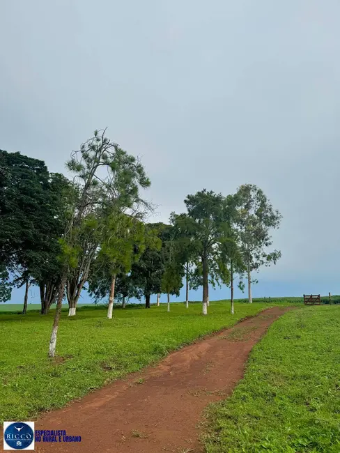 Chácara com 3 quartos à venda, 13m2 em Anapolis - GO - imagem 3 Foto 3 de Chácara com 3 quartos à venda, 13m2 em Anapolis - GO