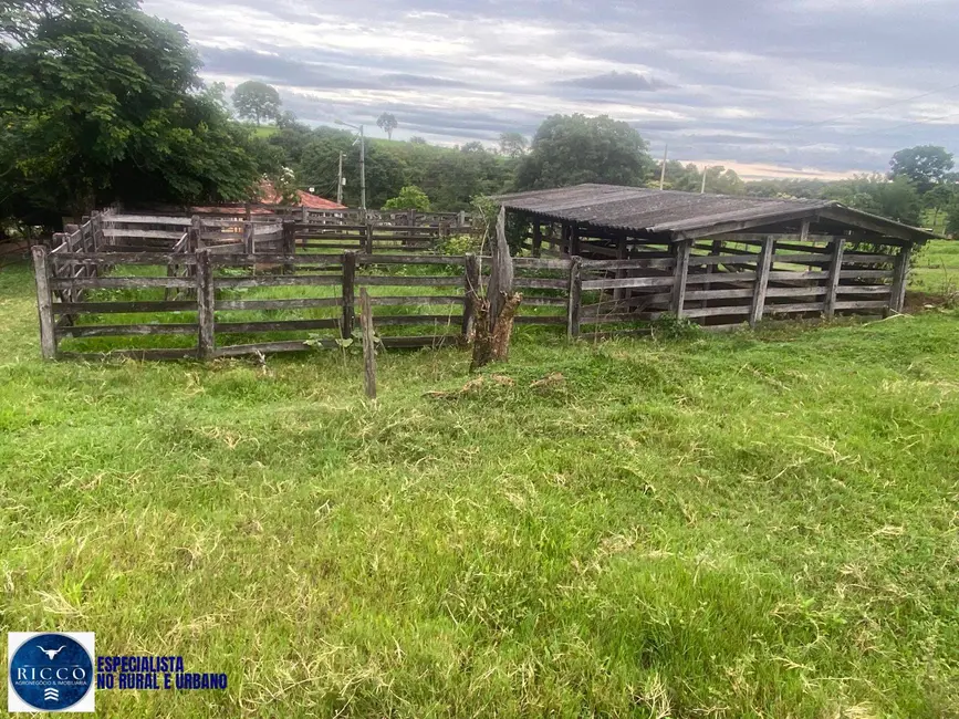 Chácara com 2 quartos à venda em Taquaral De Goias - GO - imagem 8 Foto 8 de Chácara com 2 quartos à venda em Taquaral De Goias - GO