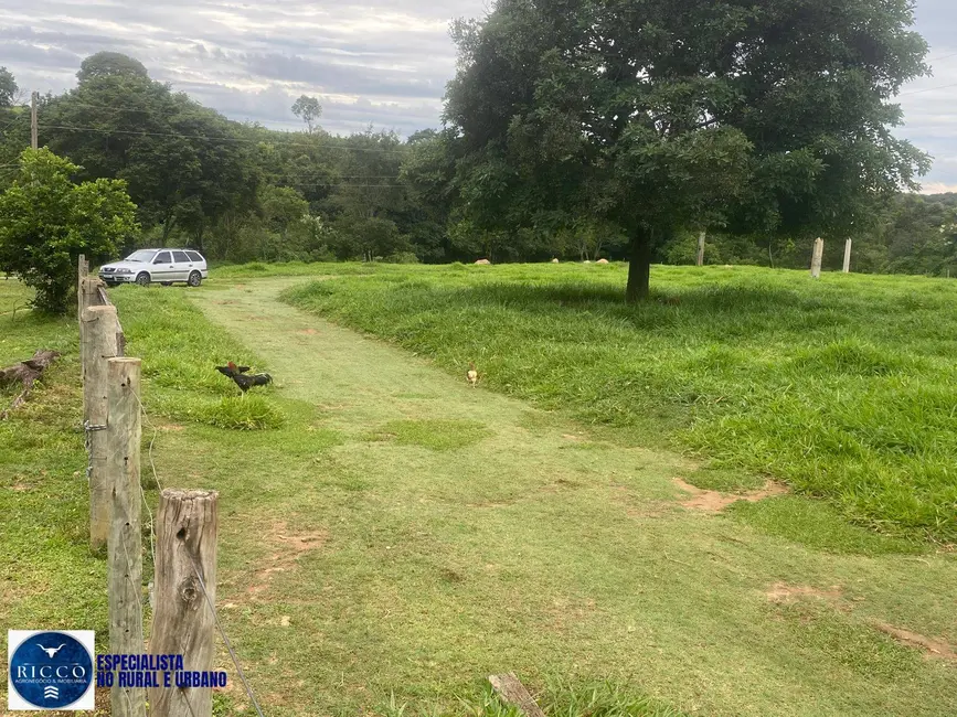 Chácara com 2 quartos à venda em Taquaral De Goias - GO - imagem 4 Foto 4 de Chácara com 2 quartos à venda em Taquaral De Goias - GO