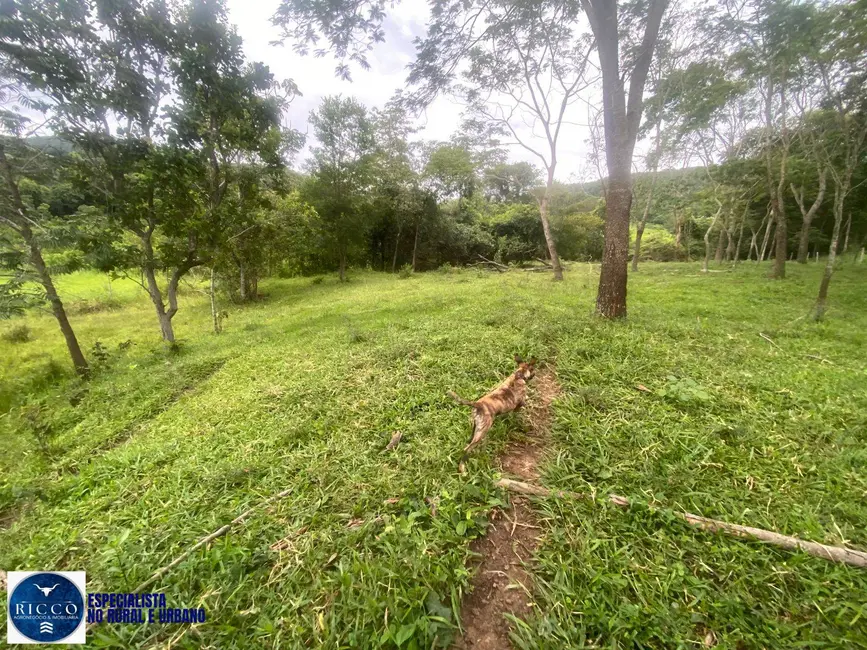 Chácara com 2 quartos à venda em Taquaral De Goias - GO - imagem 6 Foto 6 de Chácara com 2 quartos à venda em Taquaral De Goias - GO