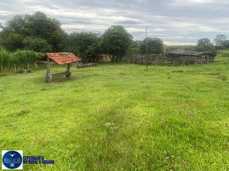 Chácara com 2 quartos à venda em Taquaral De Goias - GO - imagem 2 Foto 2 de Chácara com 2 quartos à venda em Taquaral De Goias - GO