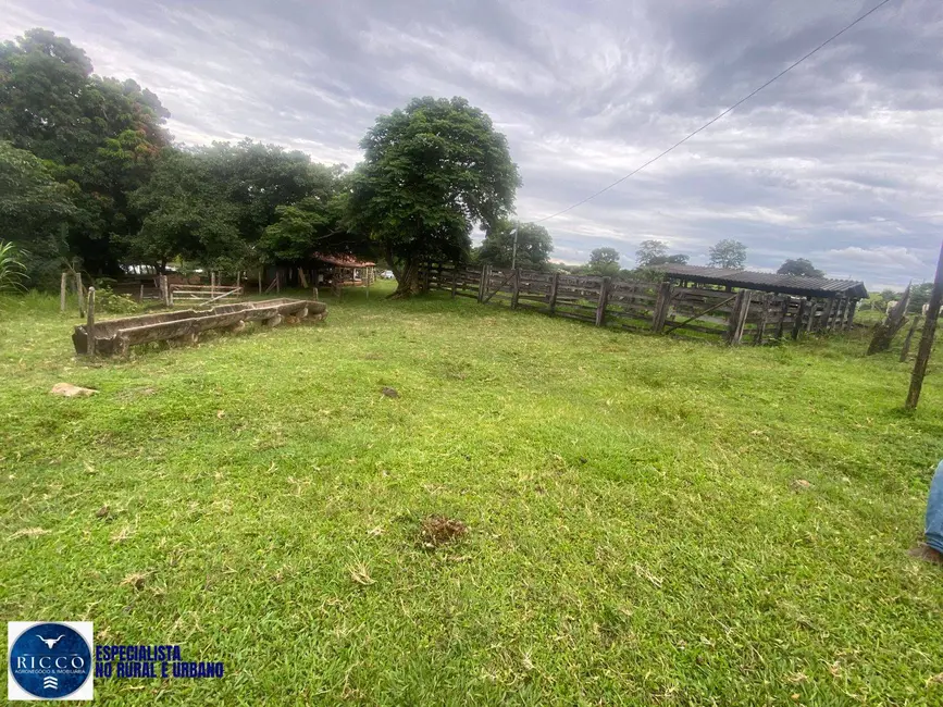 Chácara com 2 quartos à venda em Taquaral De Goias - GO - imagem 3 Foto 3 de Chácara com 2 quartos à venda em Taquaral De Goias - GO