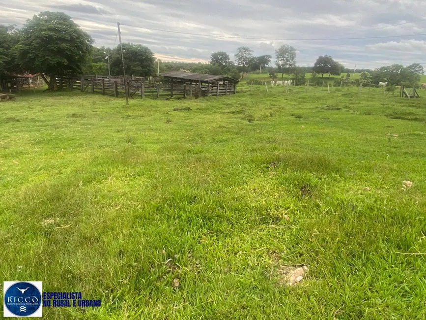 Chácara com 2 quartos à venda em Taquaral De Goias - GO - imagem 7 Foto 7 de Chácara com 2 quartos à venda em Taquaral De Goias - GO