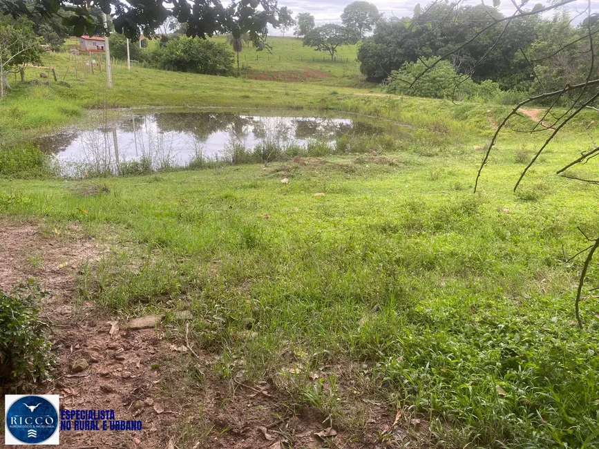 Chácara com 2 quartos à venda em Taquaral De Goias - GO - imagem 9 Foto 9 de Chácara com 2 quartos à venda em Taquaral De Goias - GO