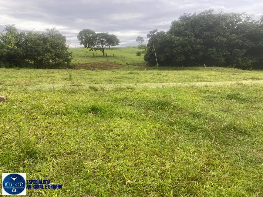 Chácara com 2 quartos à venda em Taquaral De Goias - GO - imagem 5 Foto 5 de Chácara com 2 quartos à venda em Taquaral De Goias - GO