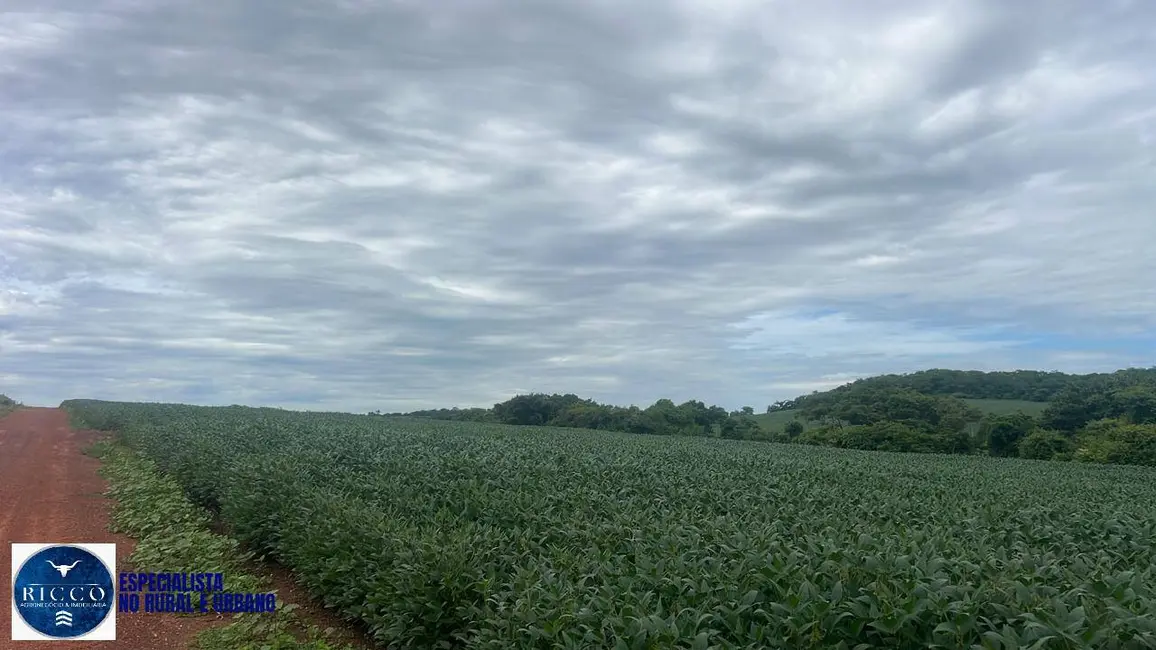 Foto 4 de Fazenda / Haras à venda, 282m2 em Ipora - GO