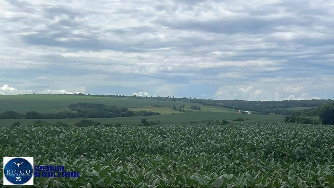 Foto 3 de Fazenda / Haras à venda, 282m2 em Ipora - GO