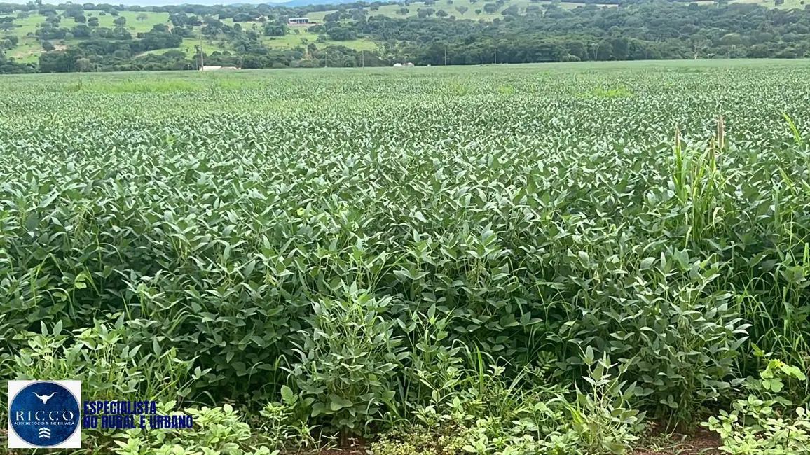 Foto 2 de Fazenda / Haras à venda, 282m2 em Ipora - GO