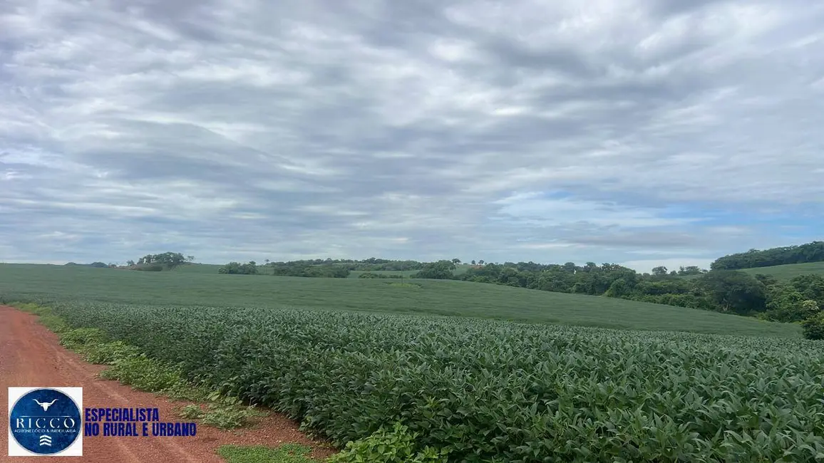 Foto 7 de Fazenda / Haras à venda, 282m2 em Ipora - GO