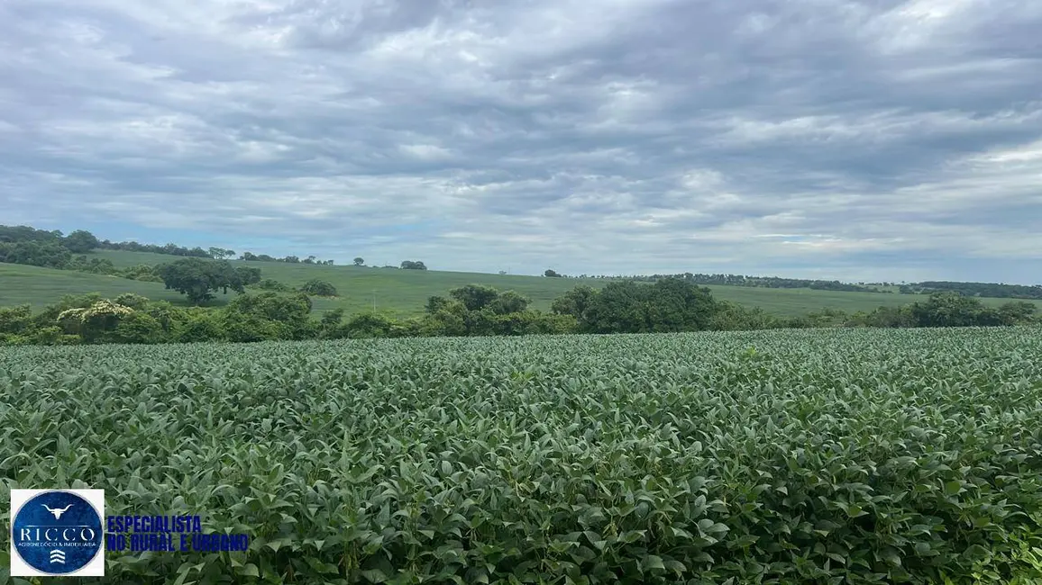 Foto 6 de Fazenda / Haras à venda, 282m2 em Ipora - GO