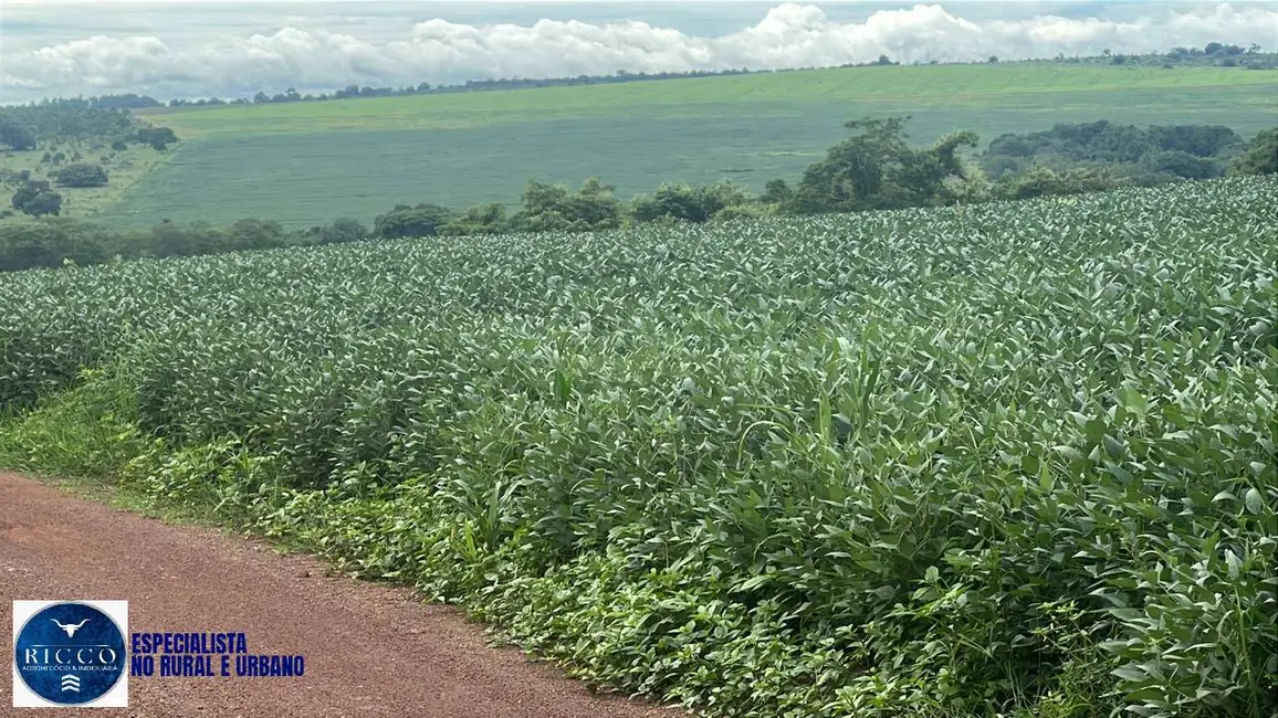 Foto 1 de Fazenda / Haras à venda, 282m2 em Ipora - GO