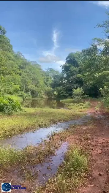 Foto 1 de Fazenda / Haras com 3 quartos à venda, 24m2 em Ipora - GO