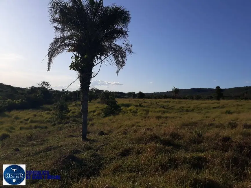 Fazenda / Haras com 3 quartos à venda, 23m2 em Ipora - GO - imagem 7 Foto 7 de Fazenda / Haras com 3 quartos à venda, 23m2 em Ipora - GO