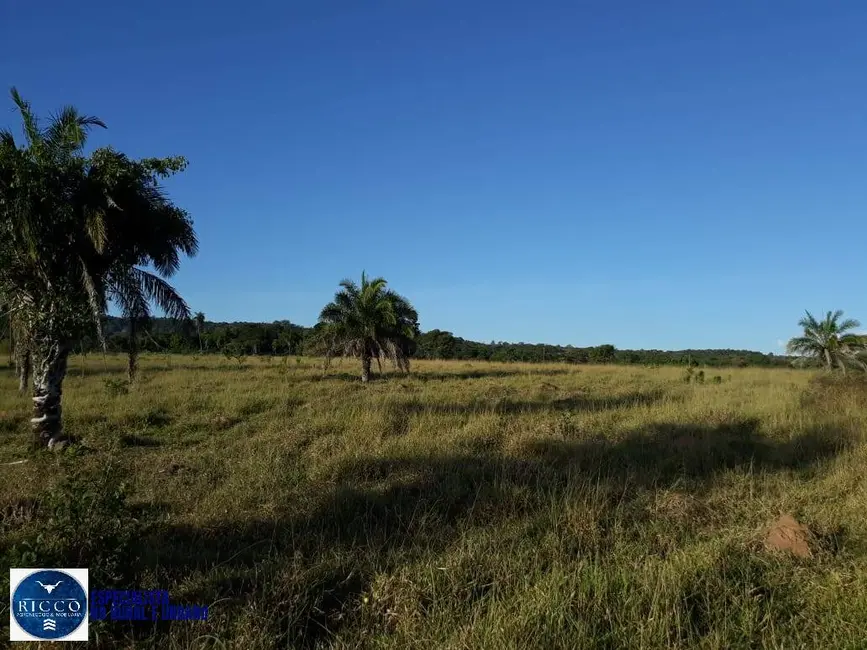 Fazenda / Haras com 3 quartos à venda, 23m2 em Ipora - GO - imagem 8 Foto 8 de Fazenda / Haras com 3 quartos à venda, 23m2 em Ipora - GO