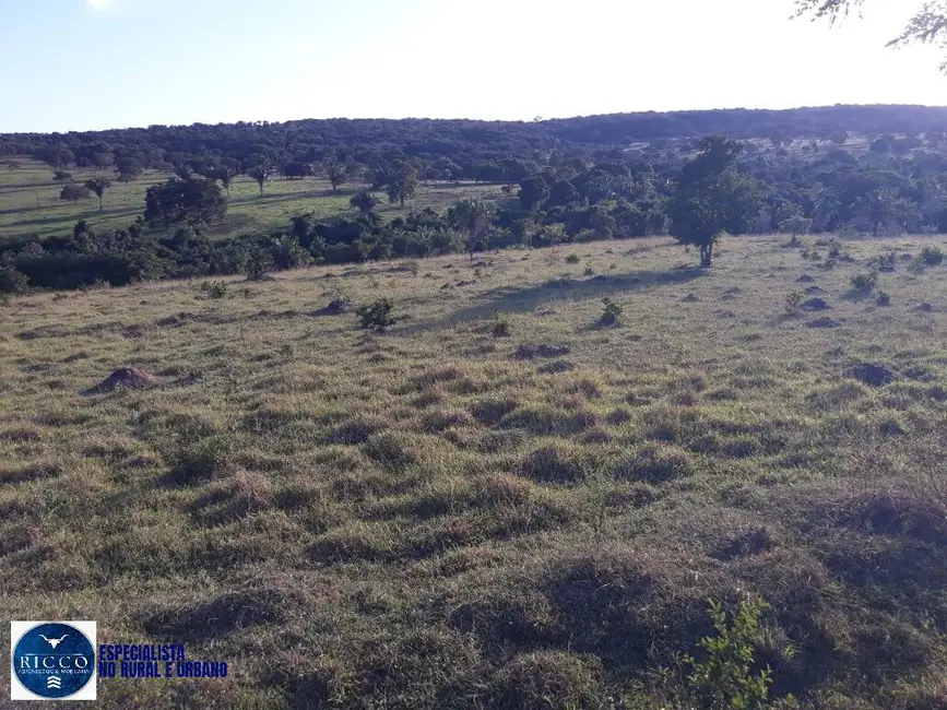 Fazenda / Haras com 3 quartos à venda, 23m2 em Ipora - GO - imagem 9 Foto 9 de Fazenda / Haras com 3 quartos à venda, 23m2 em Ipora - GO