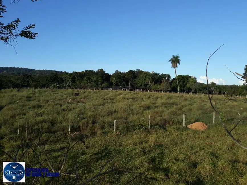 Fazenda / Haras com 3 quartos à venda, 23m2 em Ipora - GO - imagem 5 Foto 5 de Fazenda / Haras com 3 quartos à venda, 23m2 em Ipora - GO