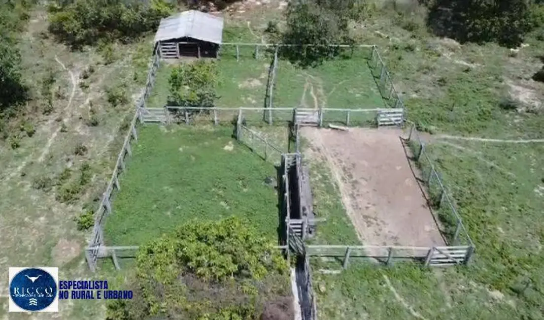 Foto 2 de Fazenda / Haras com 3 quartos à venda, 613m2 em Parana - TO