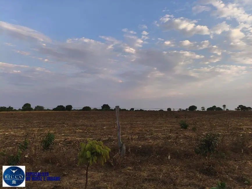 Foto 6 de Fazenda / Haras com 2 quartos à venda, 416m2 em Araguacu - TO