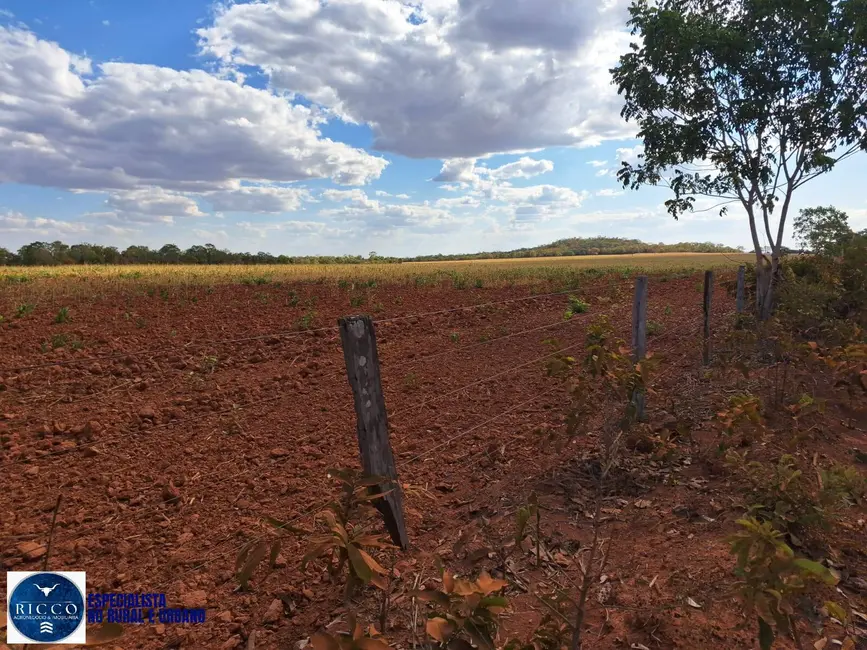 Foto 2 de Fazenda / Haras com 2 quartos à venda, 416m2 em Araguacu - TO