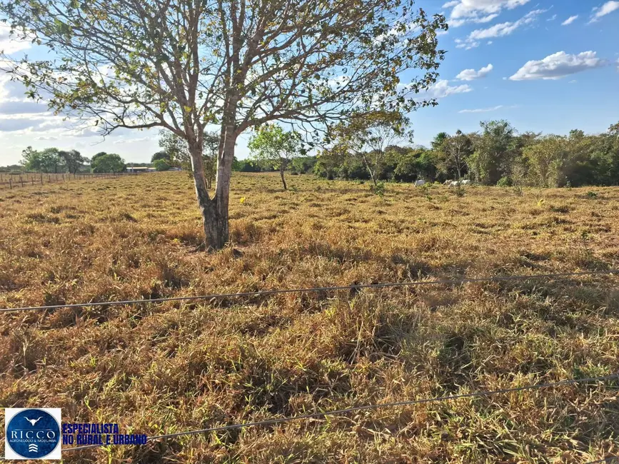 Foto 1 de Fazenda / Haras com 2 quartos à venda, 416m2 em Araguacu - TO
