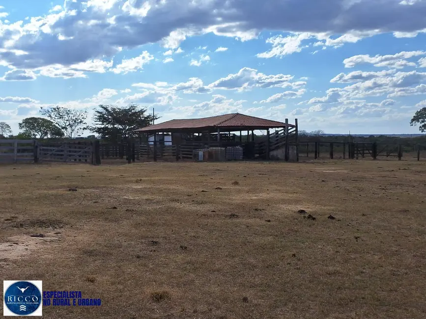 Foto 3 de Fazenda / Haras com 2 quartos à venda, 416m2 em Araguacu - TO