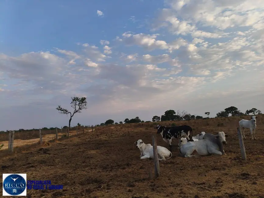 Foto 5 de Fazenda / Haras com 2 quartos à venda, 416m2 em Araguacu - TO