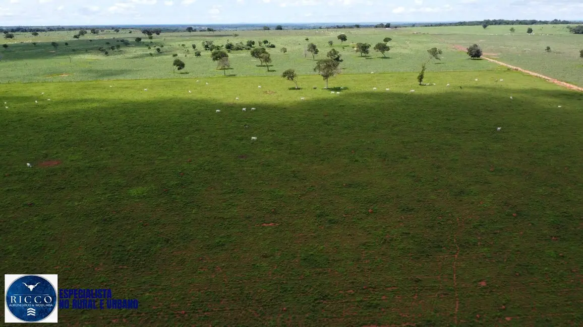 Foto 8 de Fazenda / Haras com 4 quartos à venda, 940m2 em Araguacu - TO