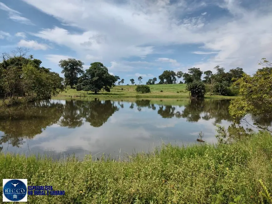 Foto 4 de Fazenda / Haras com 4 quartos à venda, 940m2 em Araguacu - TO