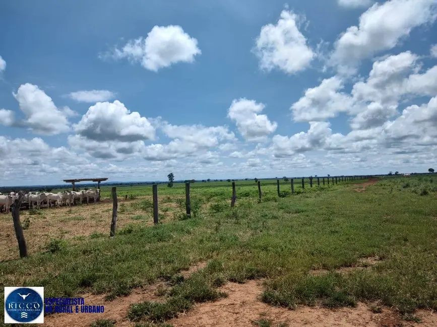 Foto 7 de Fazenda / Haras com 4 quartos à venda, 940m2 em Araguacu - TO