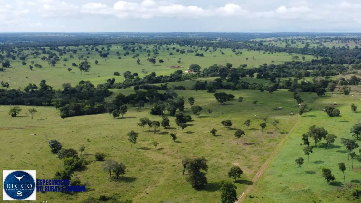 Foto 6 de Fazenda / Haras com 4 quartos à venda, 940m2 em Araguacu - TO