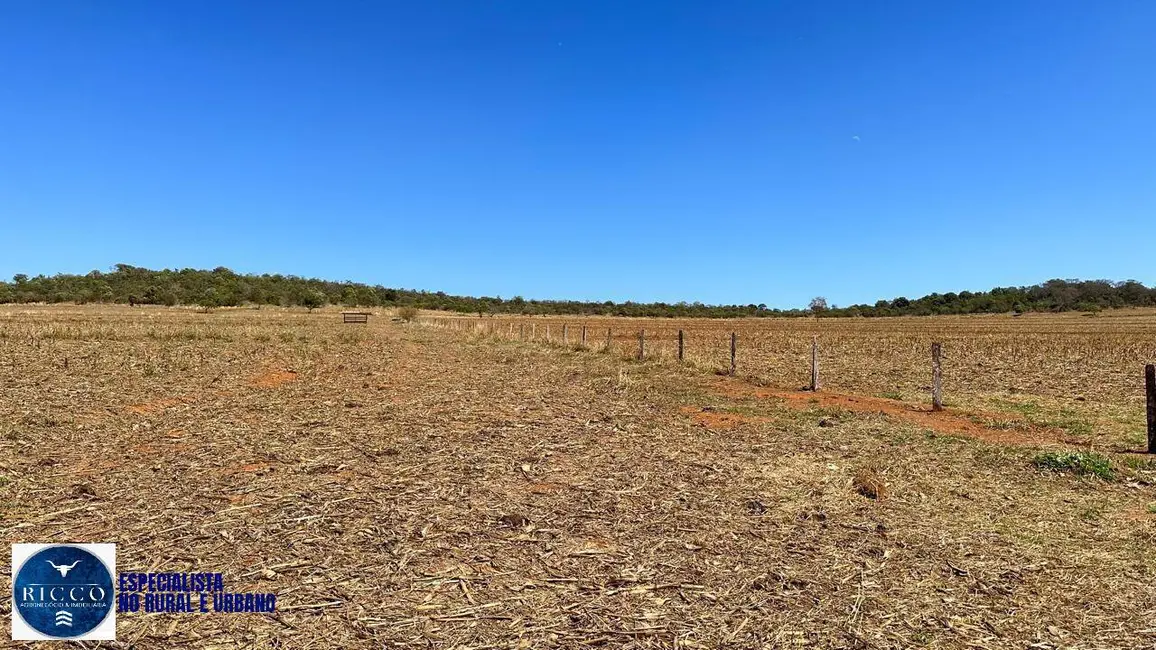 Fazenda / Haras com 5 quartos à venda, 260m2 em Corumba De Goias - GO - imagem 9 Foto 9 de Fazenda / Haras com 5 quartos à venda, 260m2 em Corumba De Goias - GO