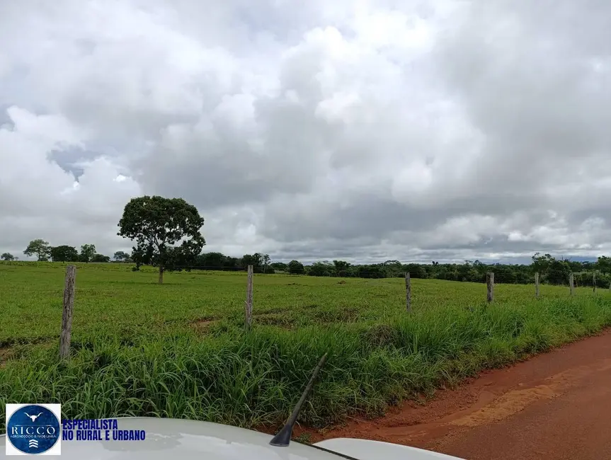 Foto 1 de Fazenda / Haras com 4 quartos à venda, 1500m2 em Araguacu - TO