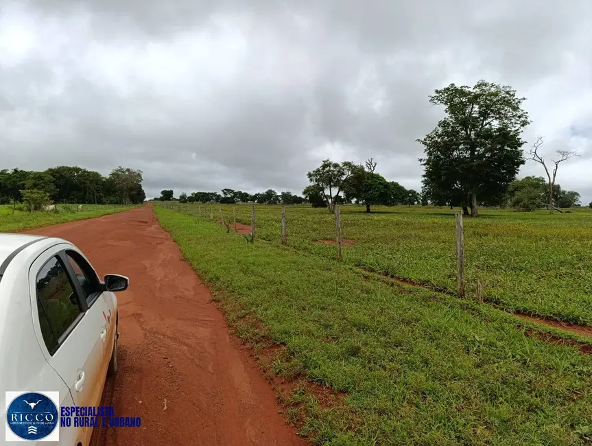 Foto 3 de Fazenda / Haras com 4 quartos à venda, 1500m2 em Araguacu - TO