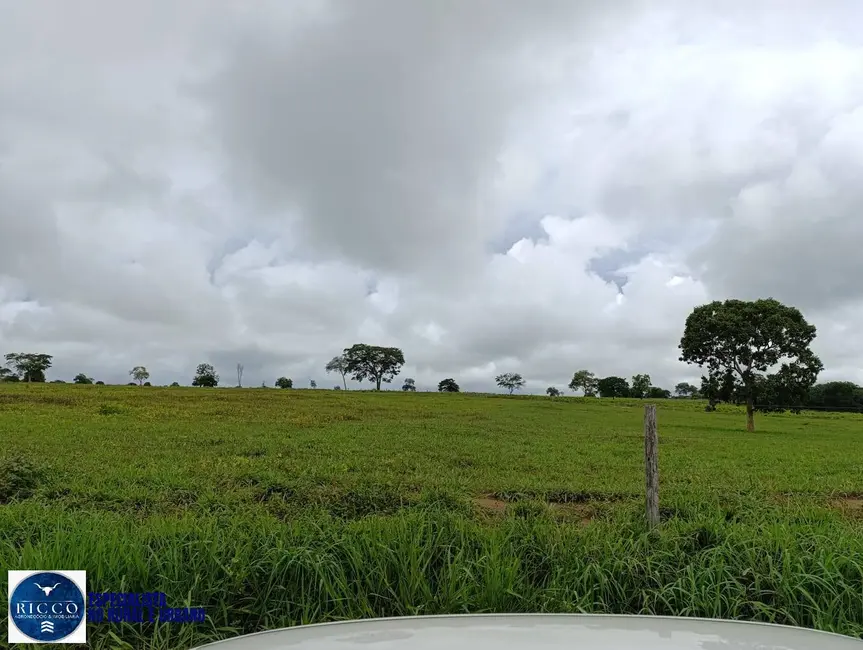 Foto 4 de Fazenda / Haras com 4 quartos à venda, 1500m2 em Araguacu - TO