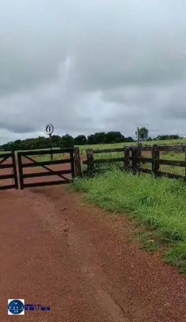Foto 5 de Fazenda / Haras com 4 quartos à venda, 1500m2 em Araguacu - TO