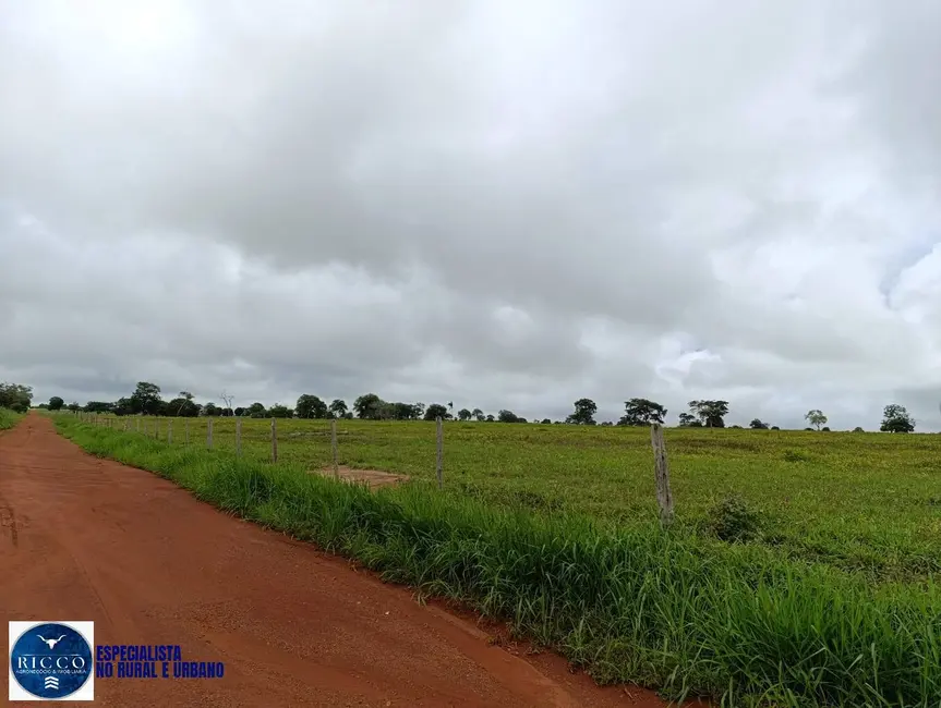 Foto 2 de Fazenda / Haras com 4 quartos à venda, 1500m2 em Araguacu - TO