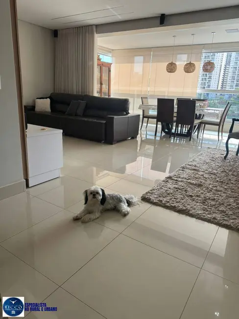 Apartamento com 4 quartos à venda, 173m2 em Jardim Goiás, Goiania - GO - imagem 2 Foto 2 de Apartamento com 4 quartos à venda, 173m2 em Jardim Goiás, Goiania - GO