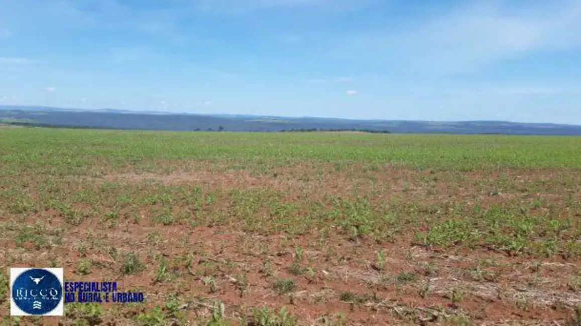 Foto 5 de Fazenda / Haras com 3 quartos à venda, 104m2 em Baliza - GO
