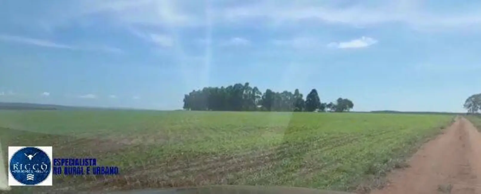 Foto 4 de Fazenda / Haras com 3 quartos à venda, 104m2 em Baliza - GO