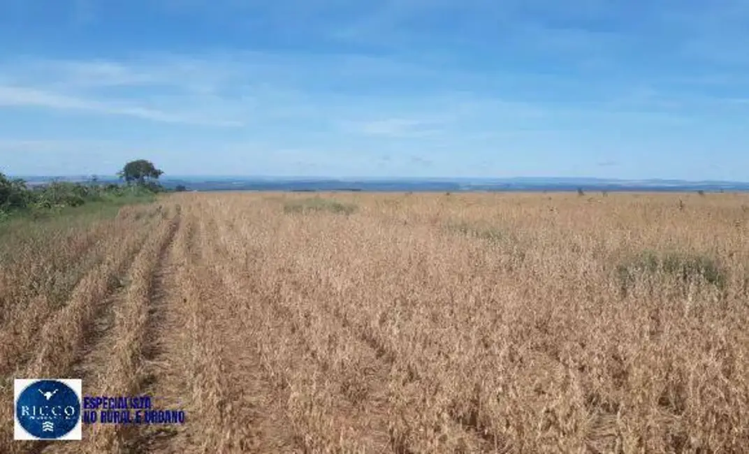 Foto 7 de Fazenda / Haras com 3 quartos à venda, 104m2 em Baliza - GO