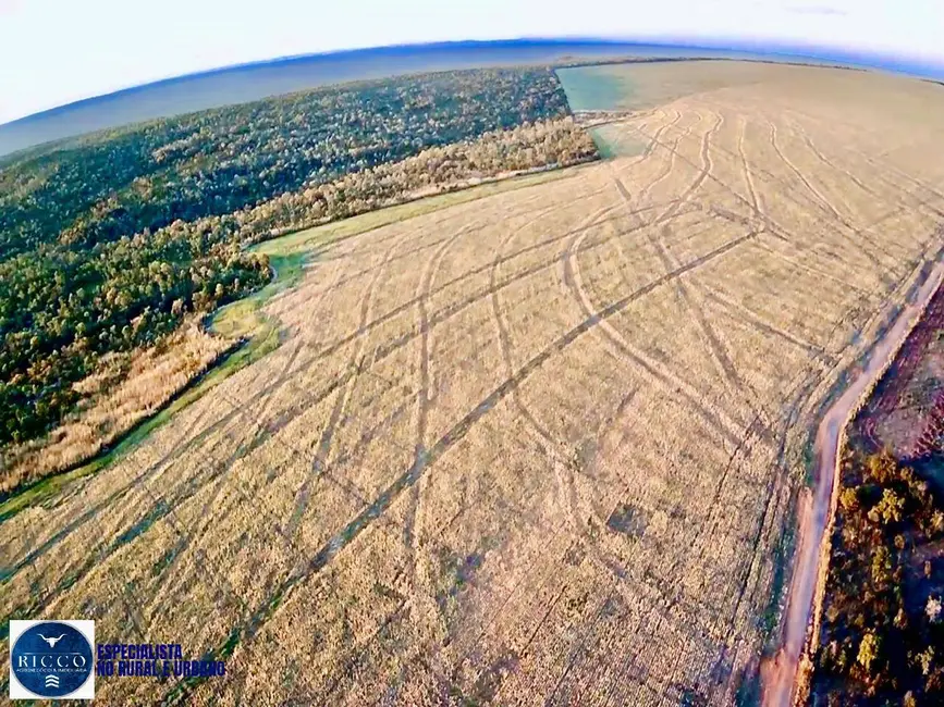 Foto 2 de Fazenda / Haras com 3 quartos à venda, 104m2 em Baliza - GO