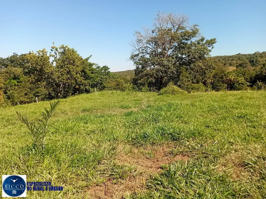 Foto 8 de Fazenda / Haras com 3 quartos à venda, 28m2 em Montes Claros De Goias - GO