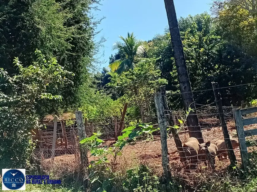 Foto 9 de Fazenda / Haras com 3 quartos à venda, 28m2 em Montes Claros De Goias - GO