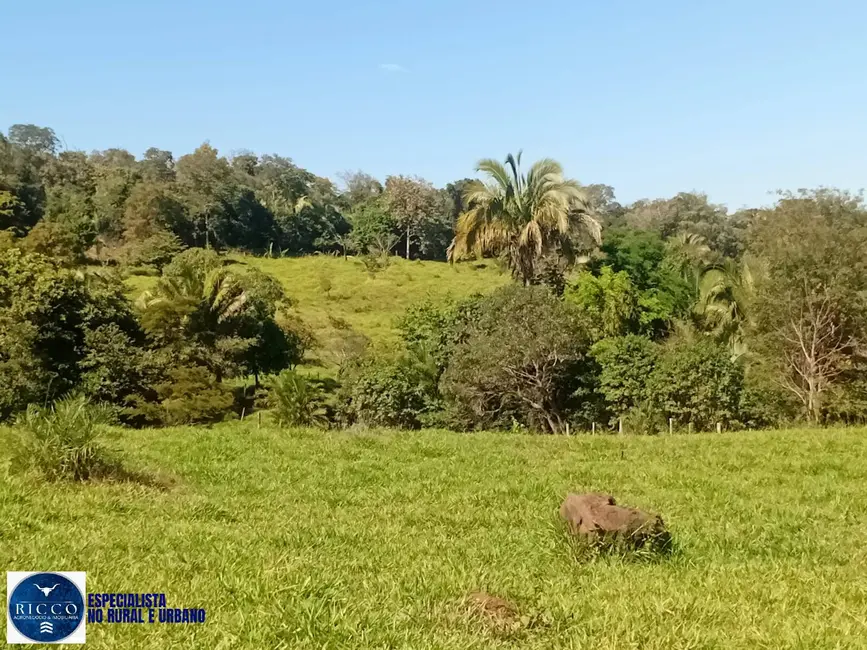 Foto 3 de Fazenda / Haras com 3 quartos à venda, 28m2 em Montes Claros De Goias - GO