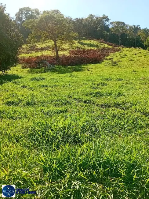 Foto 7 de Fazenda / Haras com 3 quartos à venda, 28m2 em Montes Claros De Goias - GO