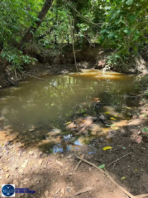 Foto 3 de Chácara com 3 quartos à venda em Americano Do Brasil - GO