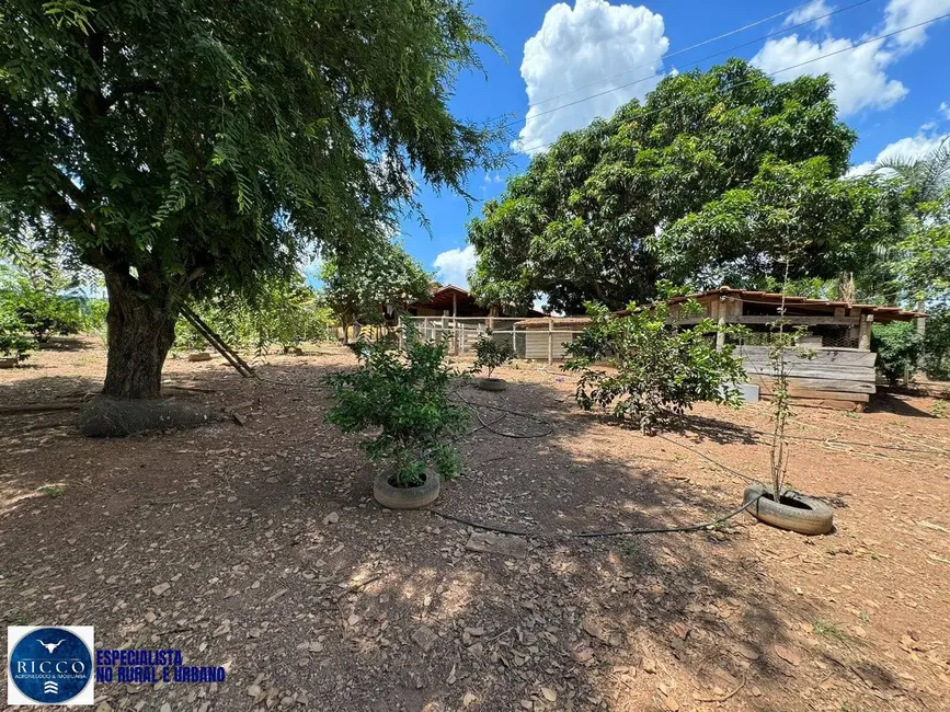 Foto 2 de Chácara com 3 quartos à venda em Americano Do Brasil - GO