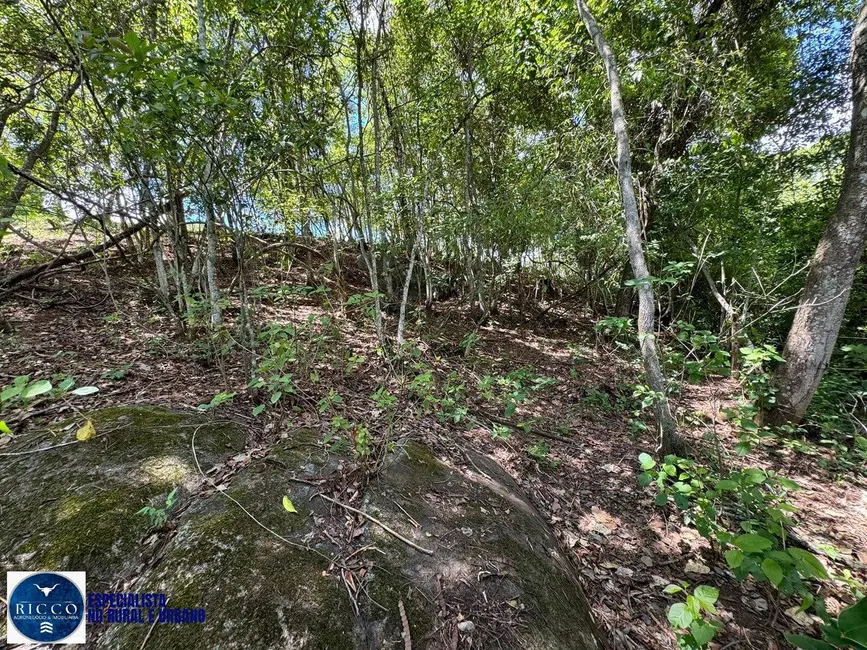 Foto 8 de Chácara com 3 quartos à venda em Americano Do Brasil - GO