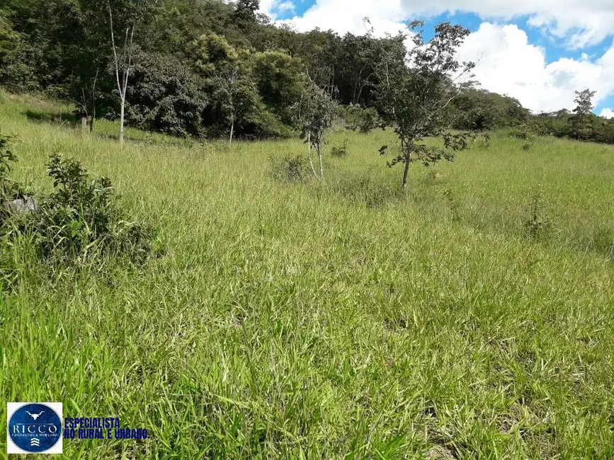 Foto 2 de Chácara com 3 quartos à venda, 10m2 em Itapuranga - GO